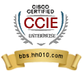CCIE Enterprise Infrastructure